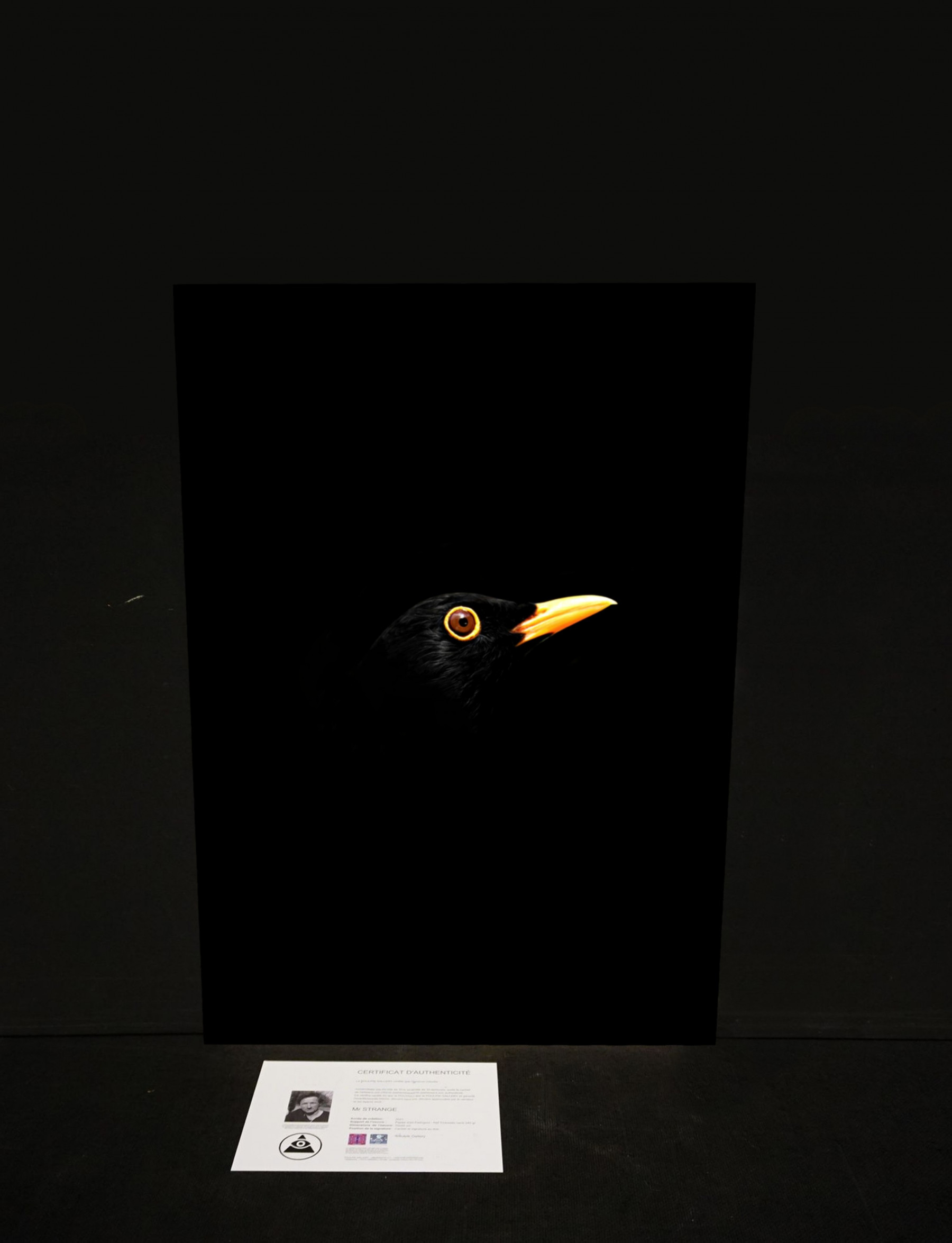 Mr Strange, Blackbird, edition - Artalistic online contemporary art buying and selling gallery