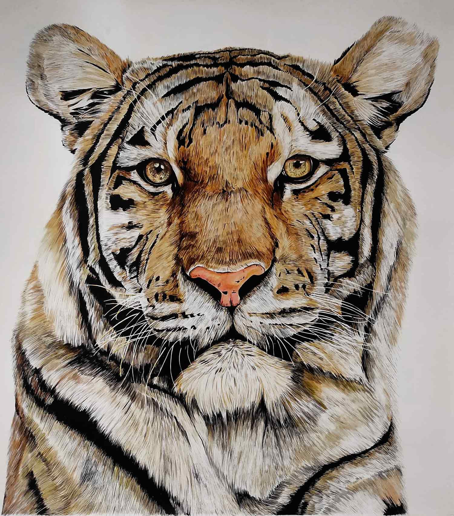 Lucile Maury, Tigre, drawing - Artalistic online contemporary art buying and selling gallery