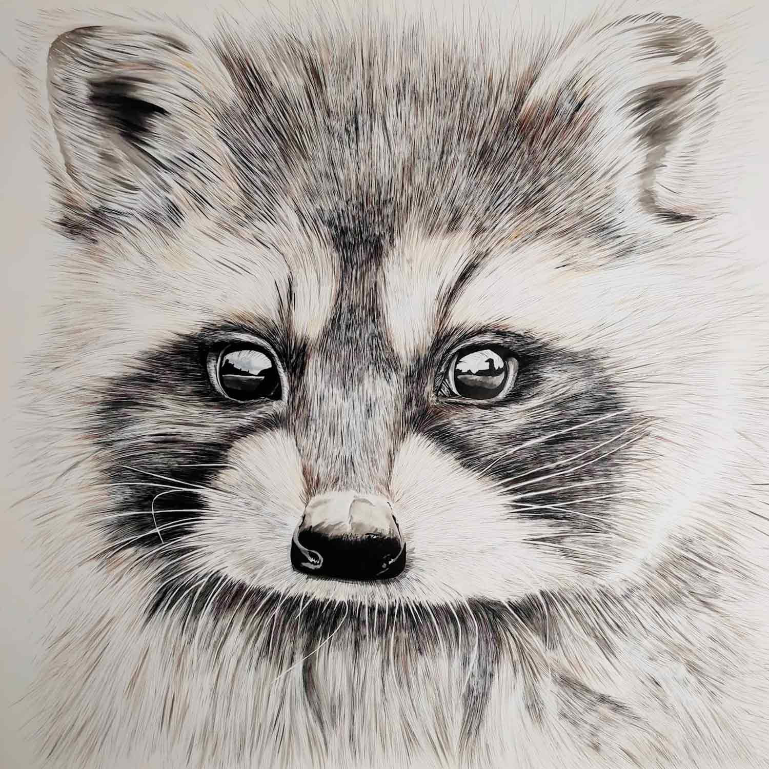 Lucile Maury, raton laveur, drawing - Artalistic online contemporary art buying and selling gallery