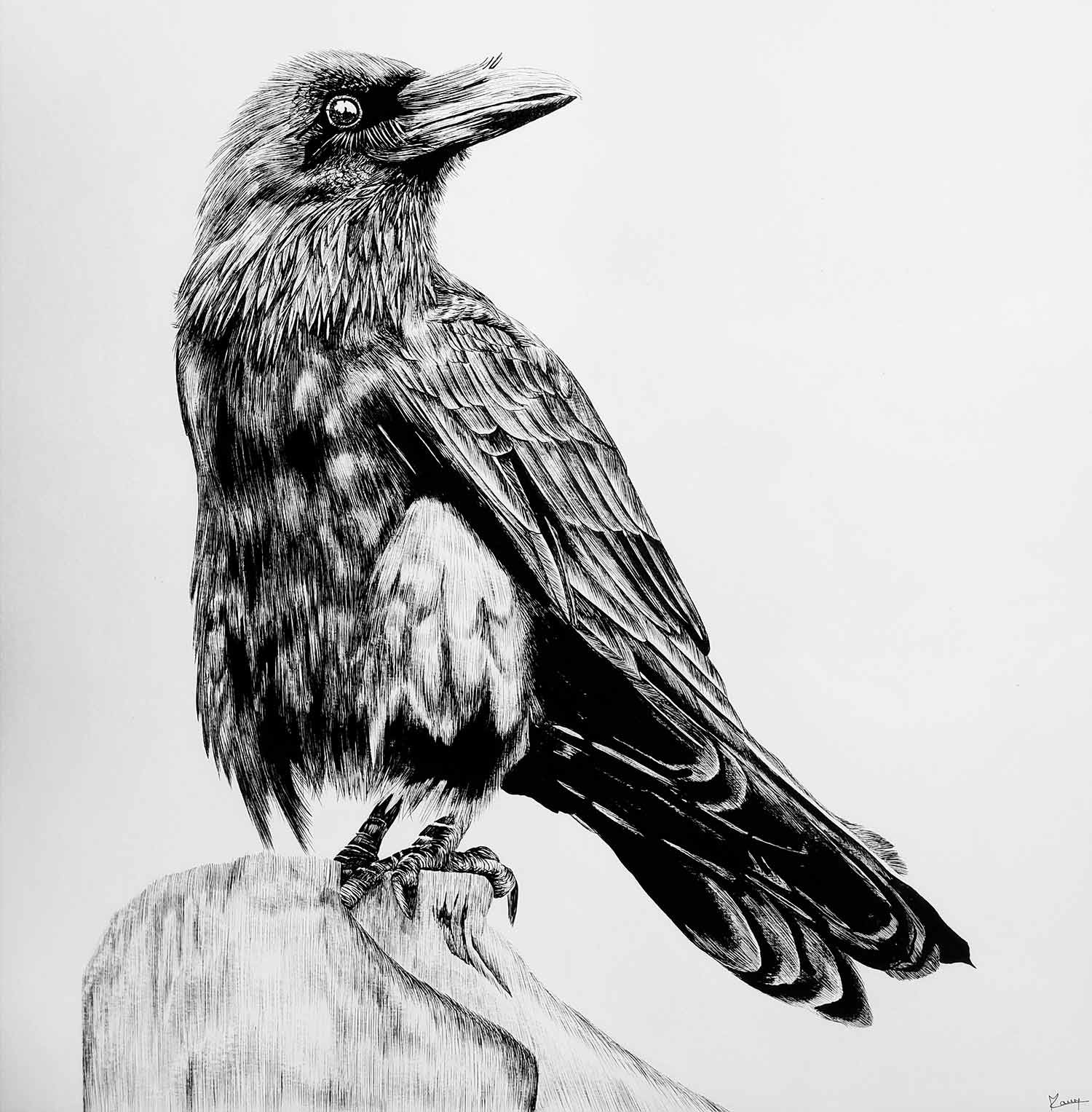 Contemporary Art - Drawing - Corbeau large - Lucile Maury
