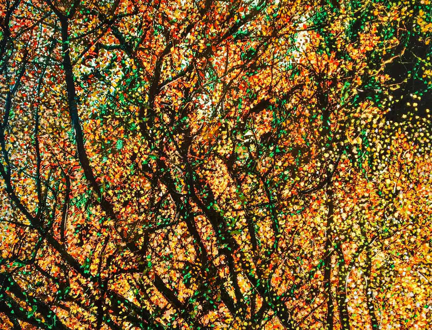 Noémie Valcauda, Dryad#3, drawing - Artalistic online contemporary art buying and selling gallery