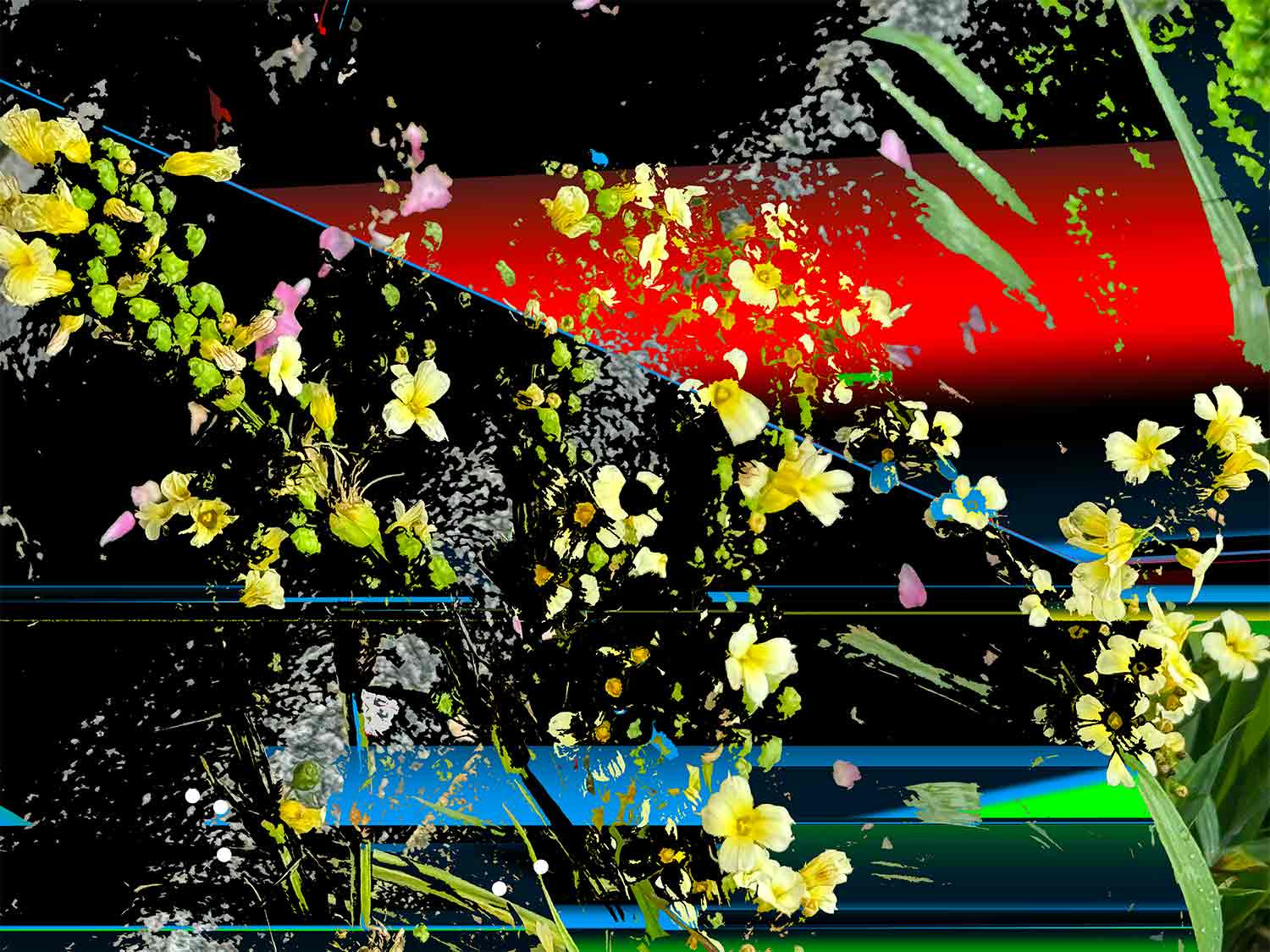 Yuuko Suzuki, CAD 240626, drawing - Artalistic online contemporary art buying and selling gallery