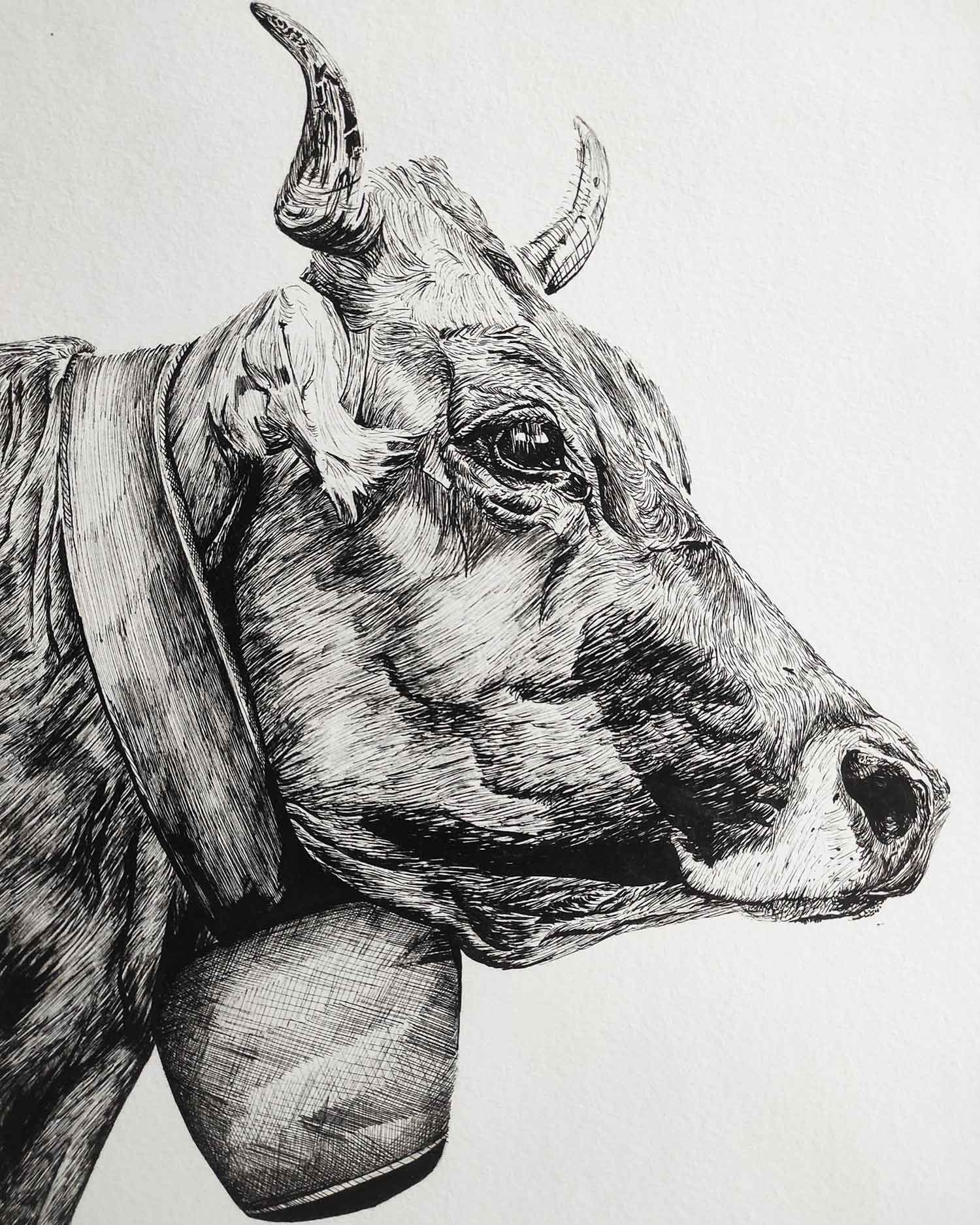 Lucile Maury, Vache, drawing - Artalistic online contemporary art buying and selling gallery