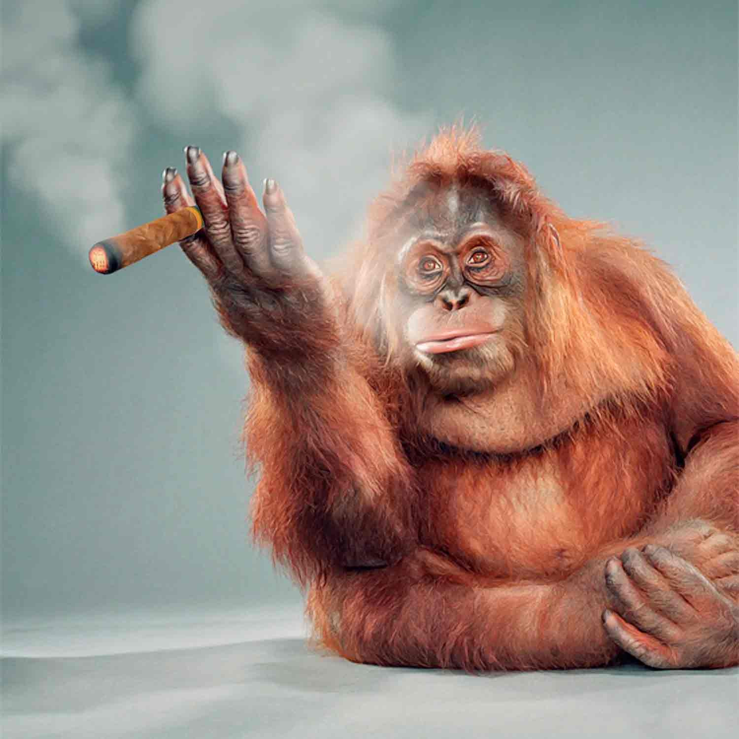 Mr Strange, Miss greenberg Smoke a Cigar, edition - Artalistic online contemporary art buying and selling gallery