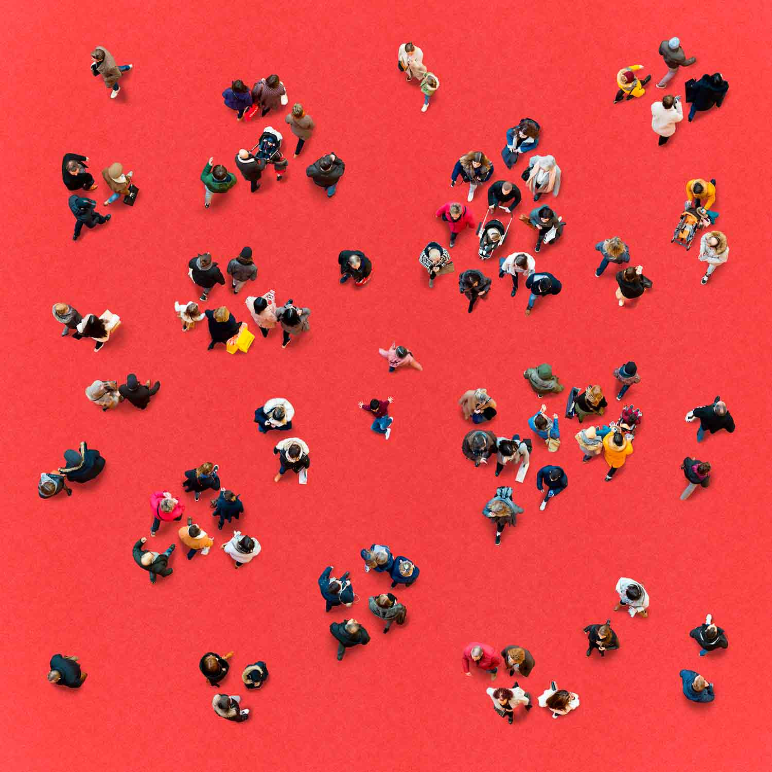 Werner Roelandt, Red together, photo - Artalistic online contemporary art buying and selling gallery