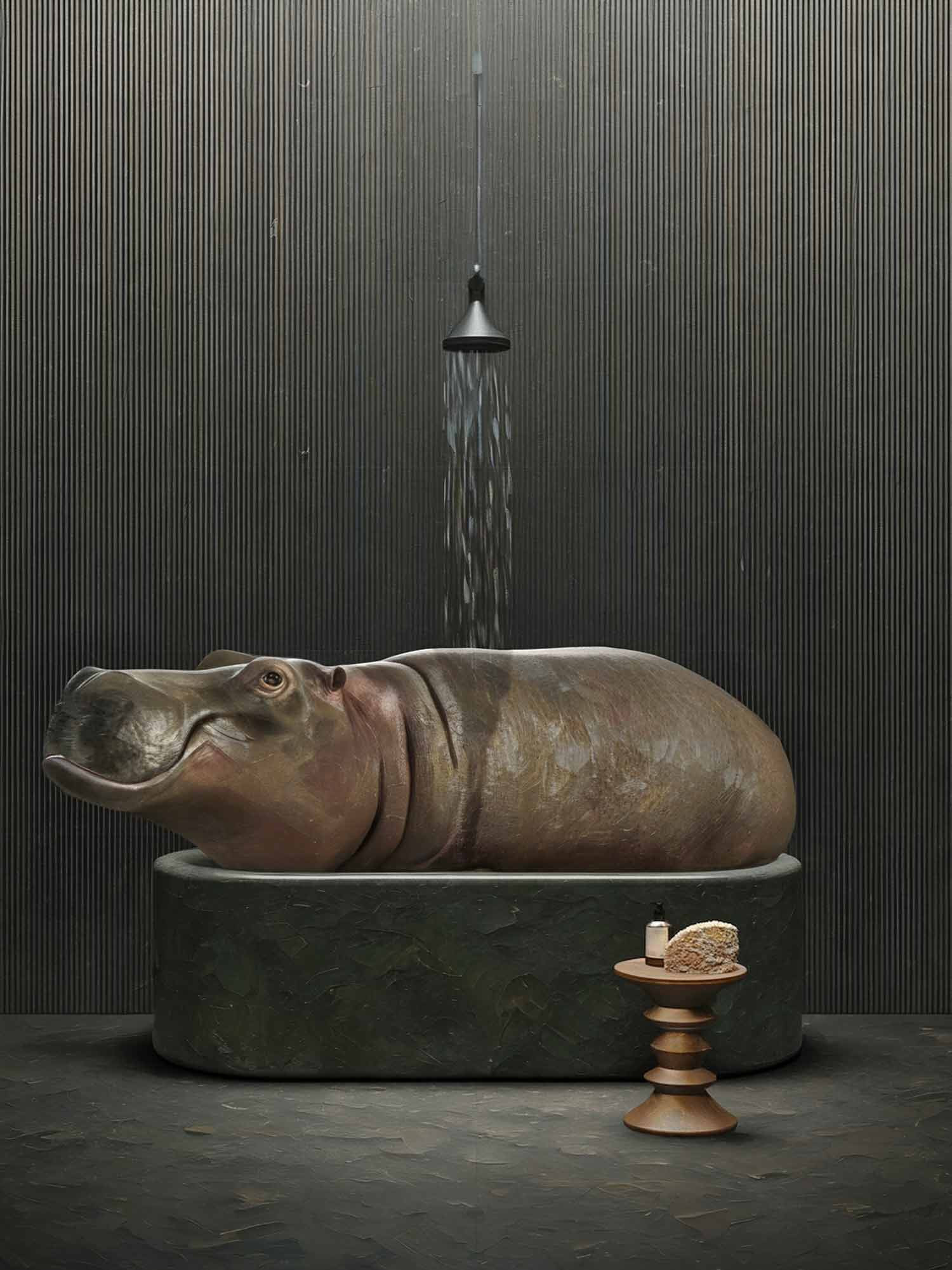 Mr Strange, Hippopotamus Bath, edition - Artalistic online contemporary art buying and selling gallery