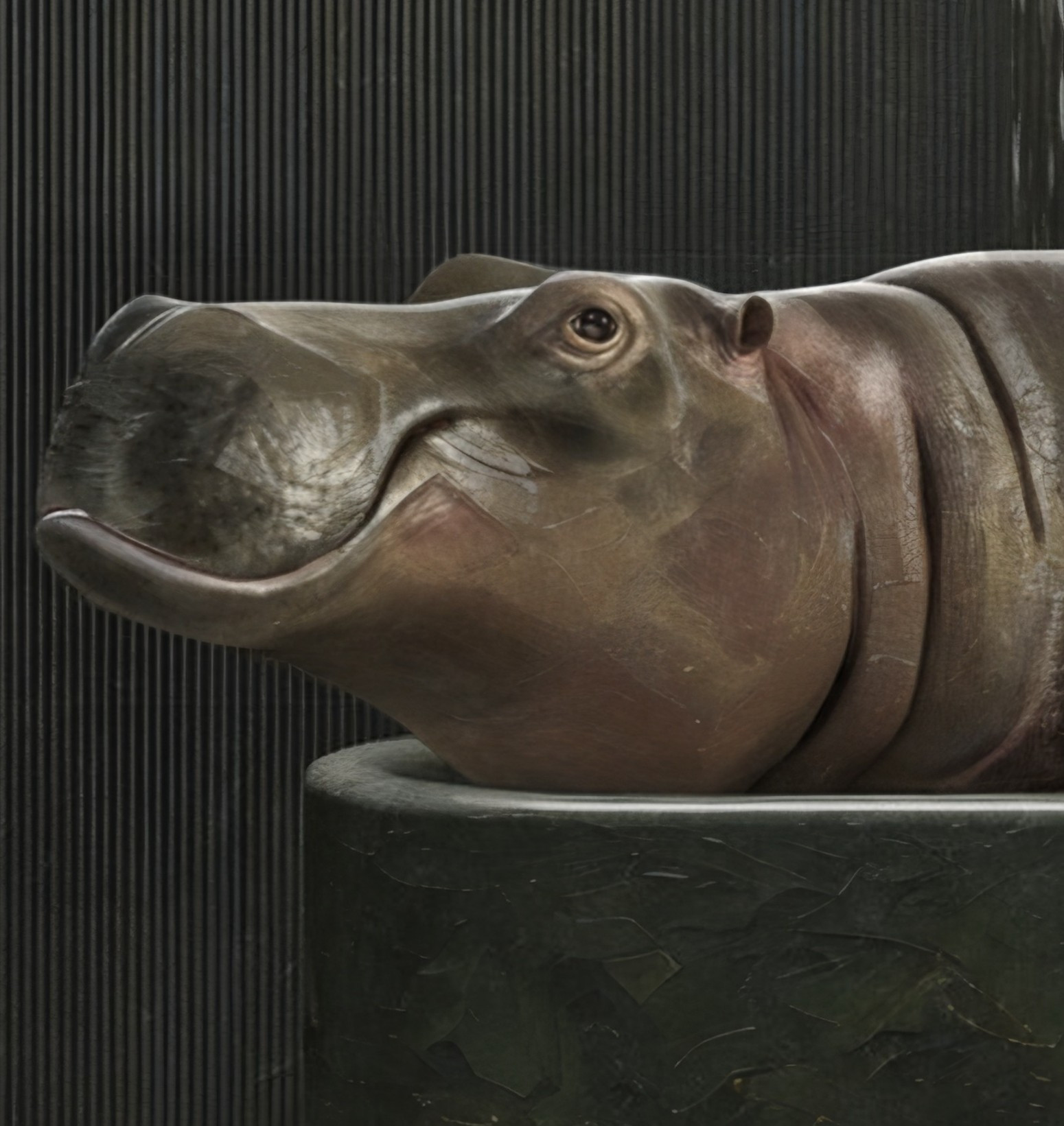Mr Strange, Hippopotamus Bath, edition - Artalistic online contemporary art buying and selling gallery