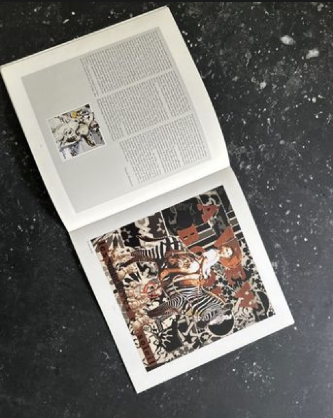 Jean-Luc Renaud, A view book, Edition - Artalistic online contemporary art buying and selling gallery