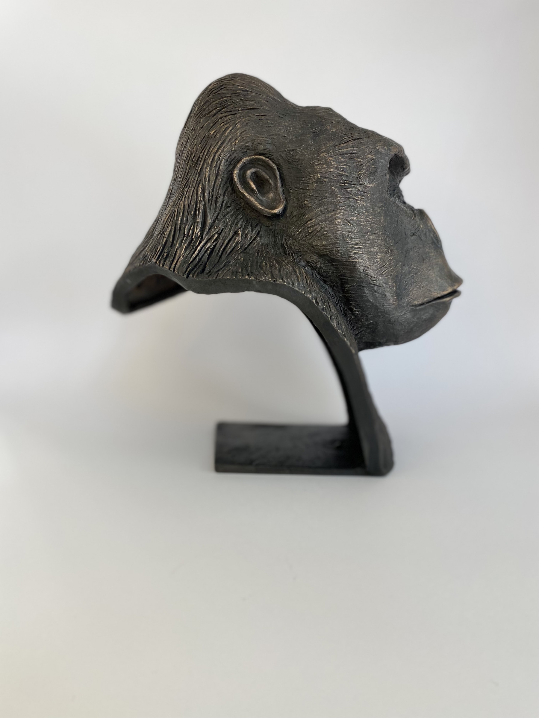 Mimo, Buste de gorille, sculpture - Artalistic online contemporary art buying and selling gallery