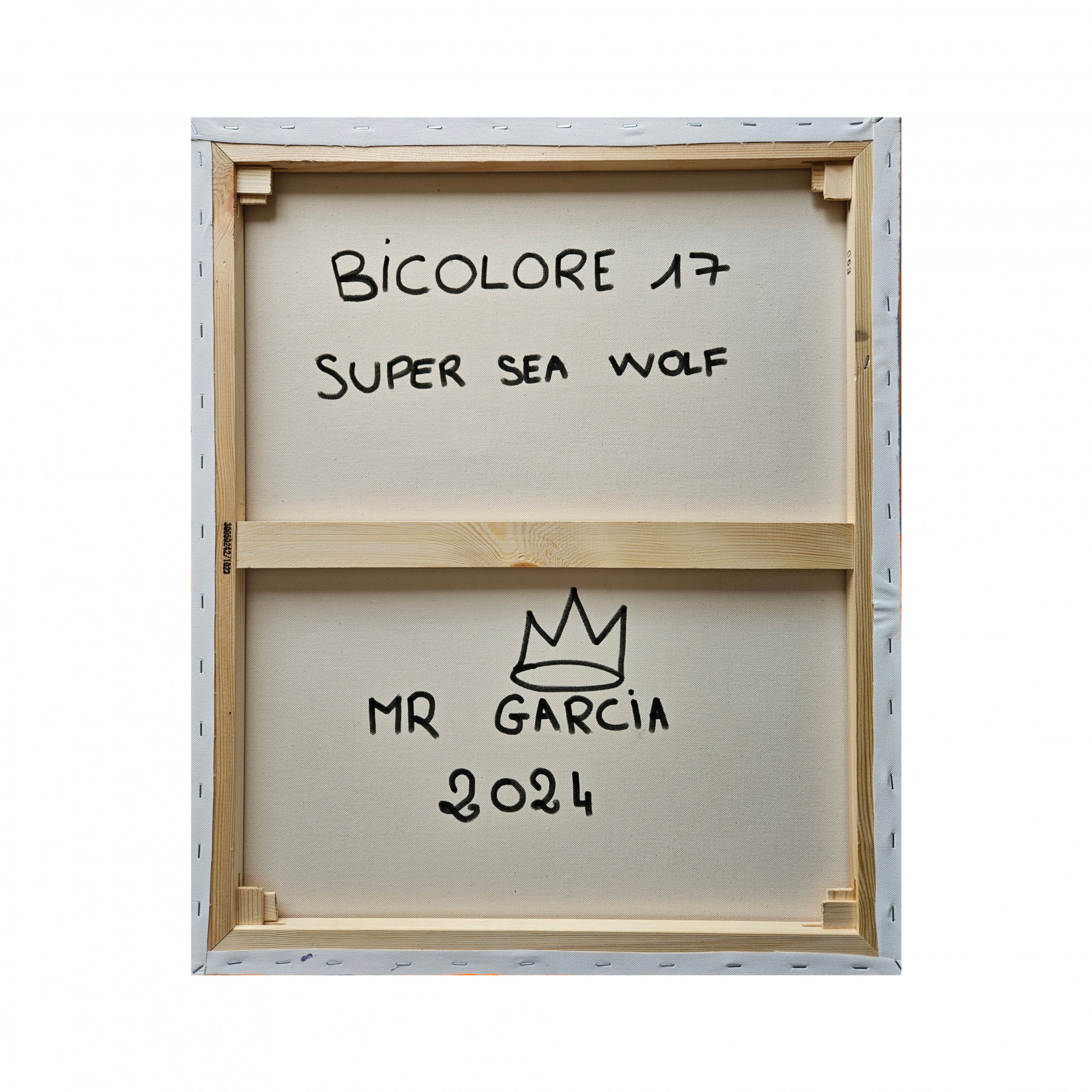 Mr Garcia, Super sea wolf, painting - Artalistic online contemporary art buying and selling gallery
