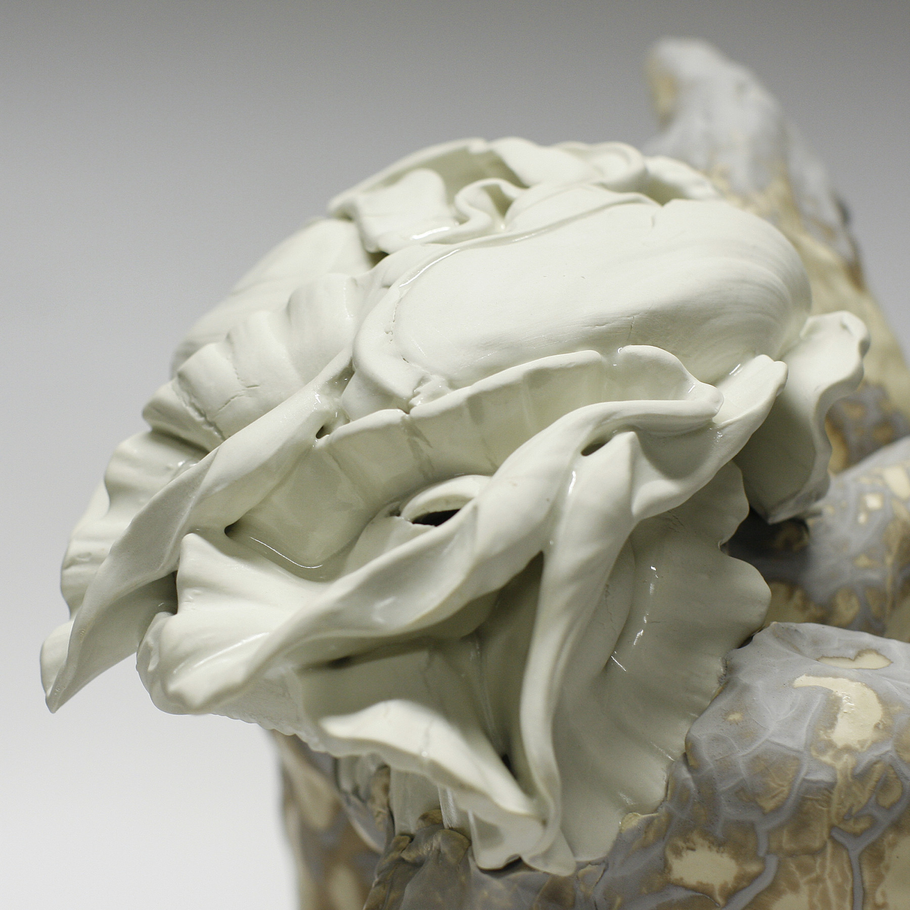 Ielizaveta Portnova, Tortue, sculpture - Artalistic online contemporary art buying and selling gallery