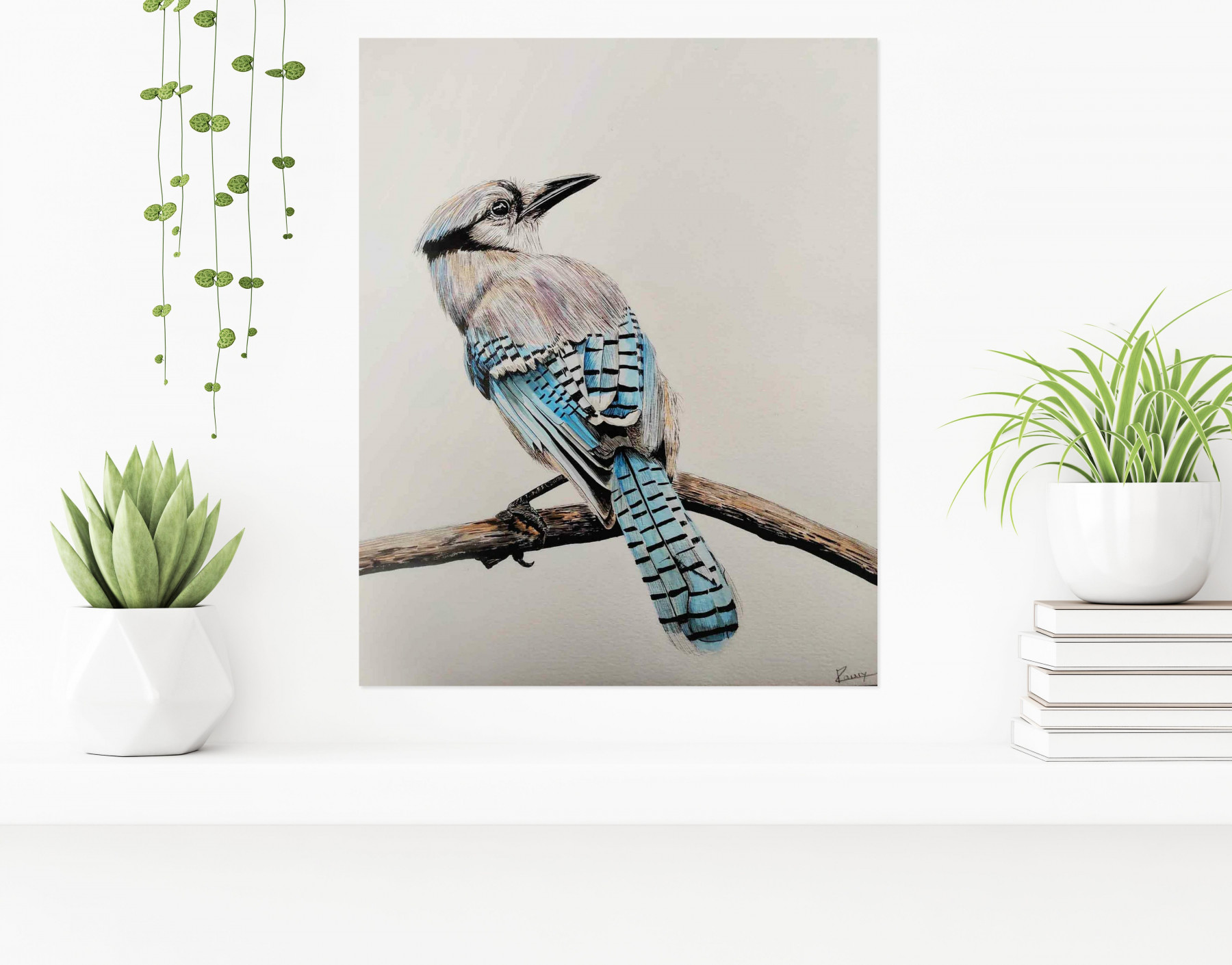 Lucile Maury, Geai bleu, drawing - Artalistic online contemporary art buying and selling gallery