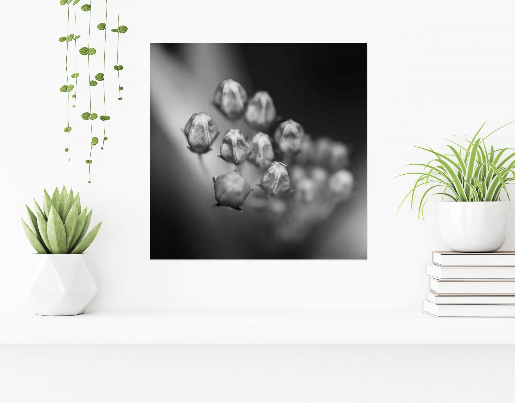 Jean-Guy Nakars, Flower by Close, photo - Artalistic online contemporary art buying and selling gallery
