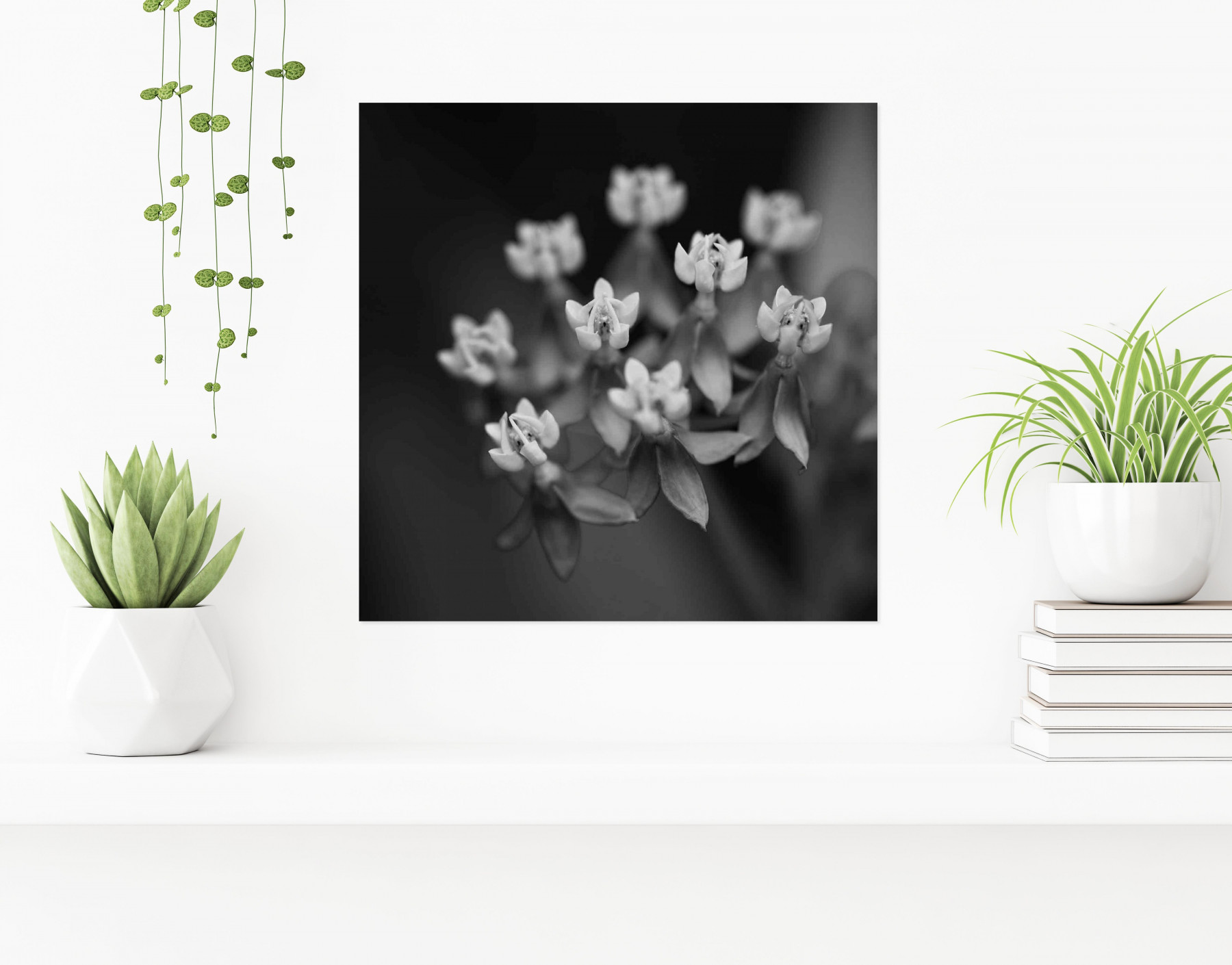 Jean-Guy Nakars, Flower by open, photo - Artalistic online contemporary art buying and selling gallery