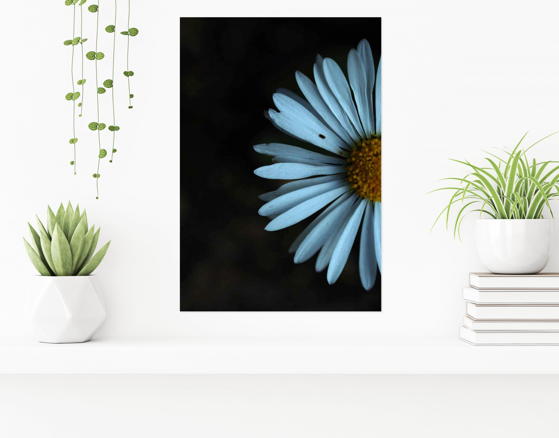 Laeticia Servant, Coupée la marguerite, photo - Artalistic online contemporary art buying and selling gallery