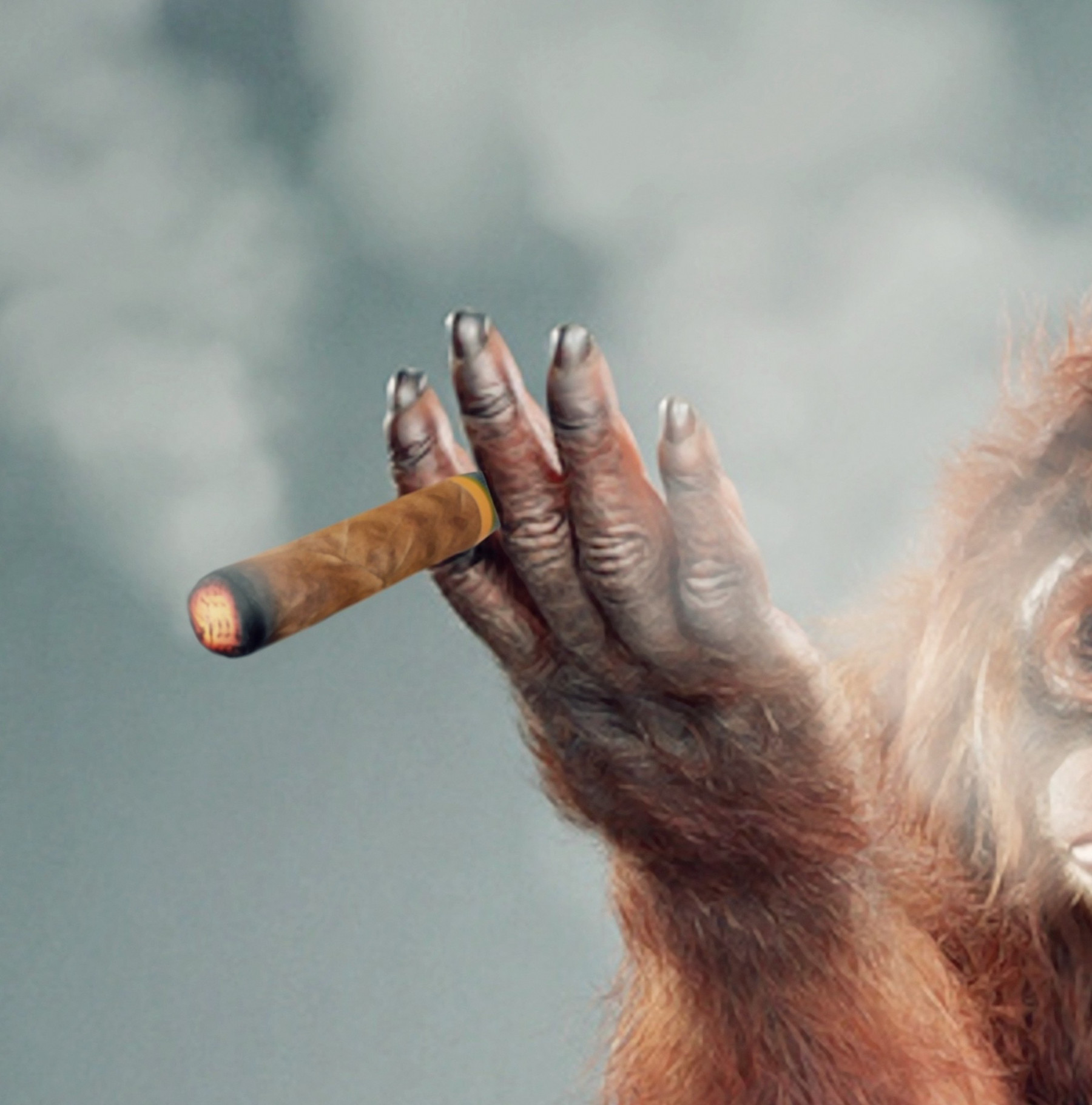 Mr Strange, Miss greenberg Smoke a Cigar, edition - Artalistic online contemporary art buying and selling gallery