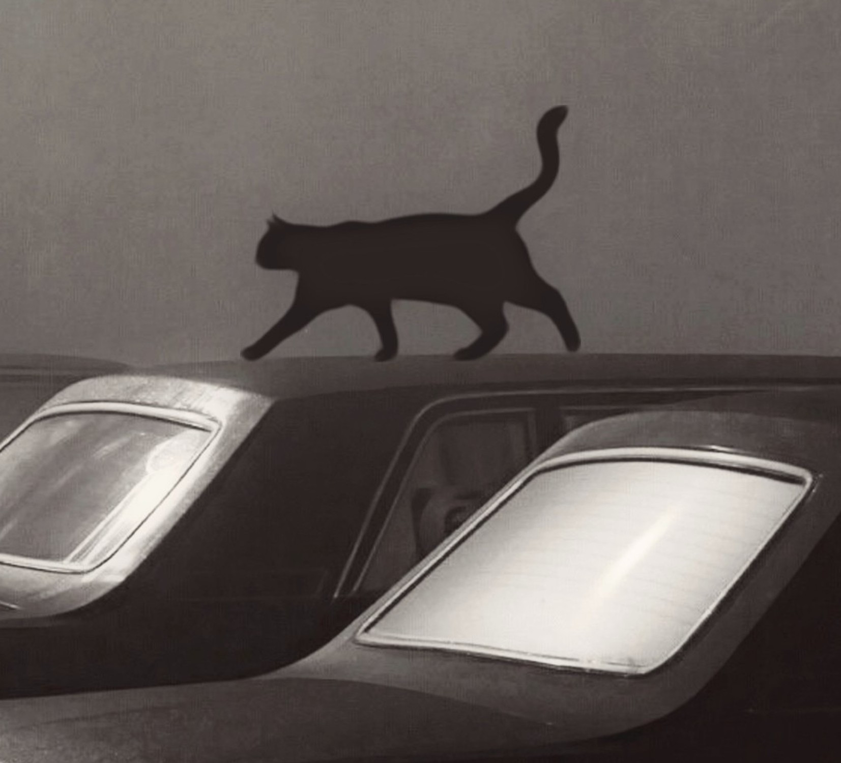 Mr Strange, Olga et son chat, edition - Artalistic online contemporary art buying and selling gallery