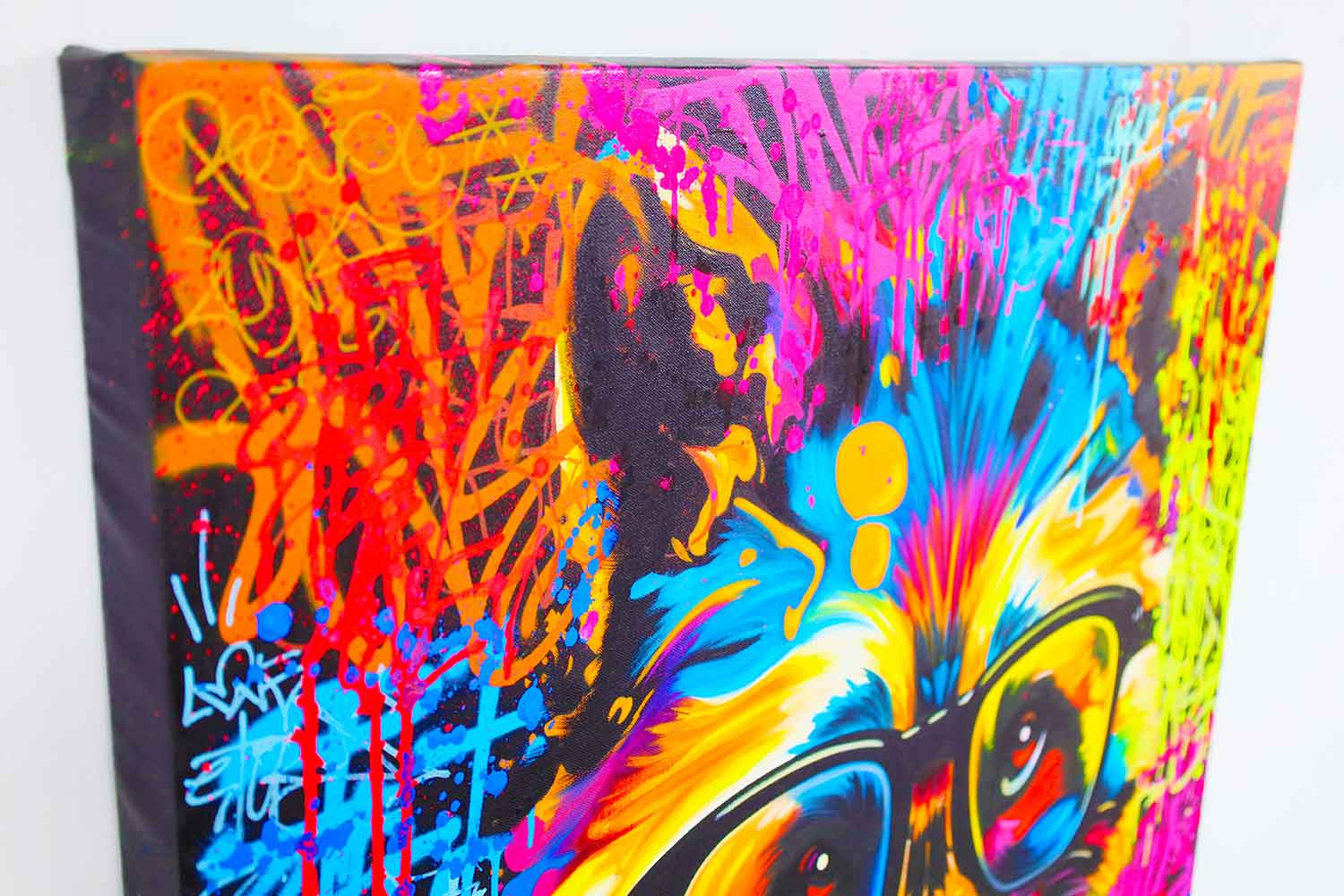 Vincent BARDOU, Raccoon style, painting - Artalistic online contemporary art buying and selling gallery