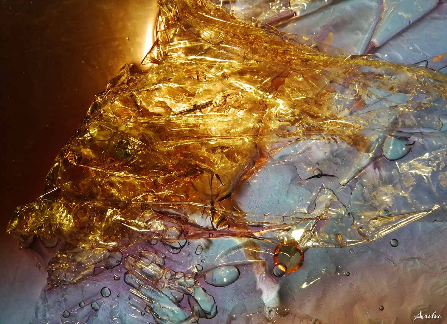 Arelec, Cheval d'or, photo - Artalistic online contemporary art buying and selling gallery