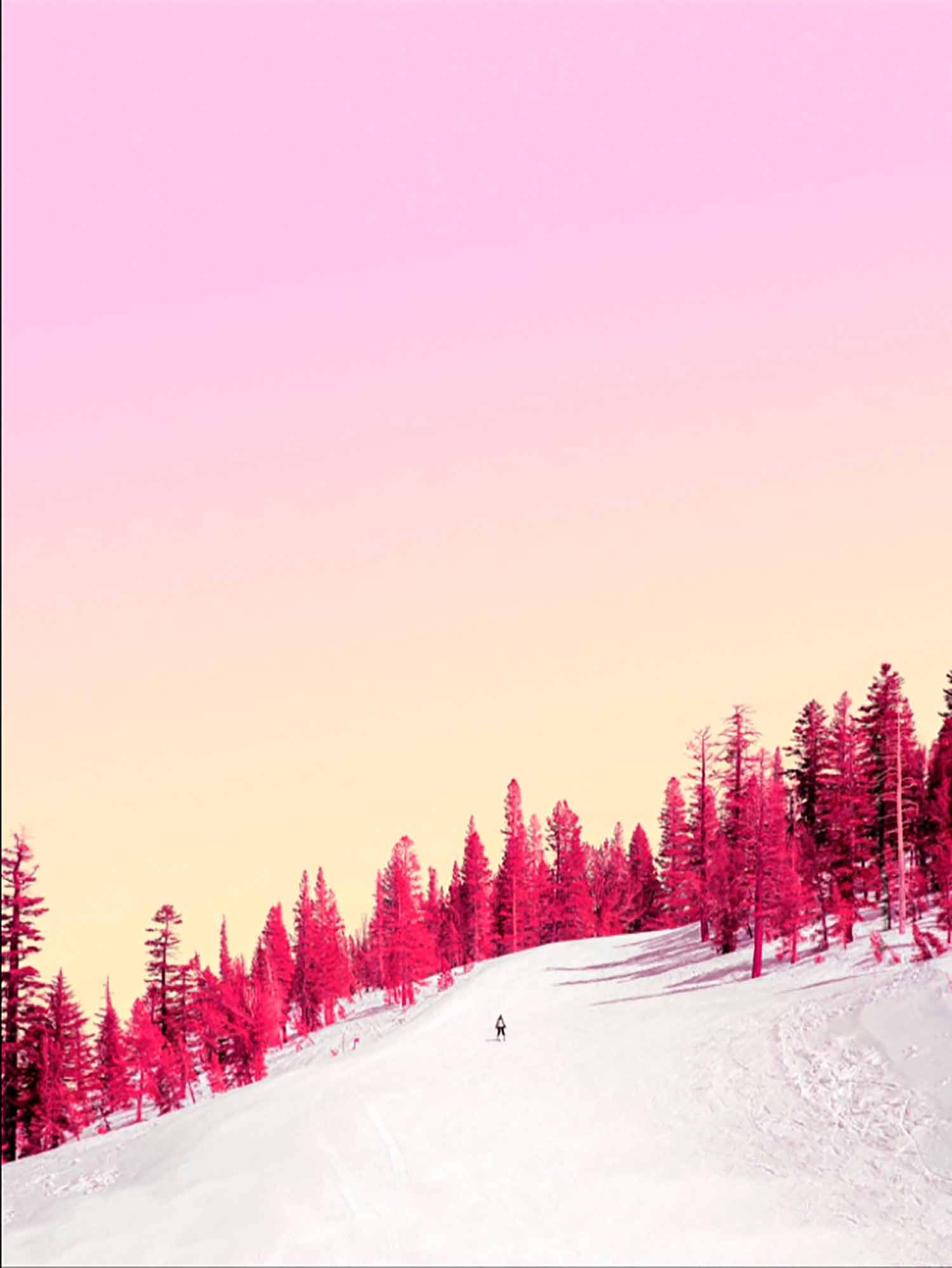 Téber, Cherry Winterscape, photo - Artalistic online contemporary art buying and selling gallery