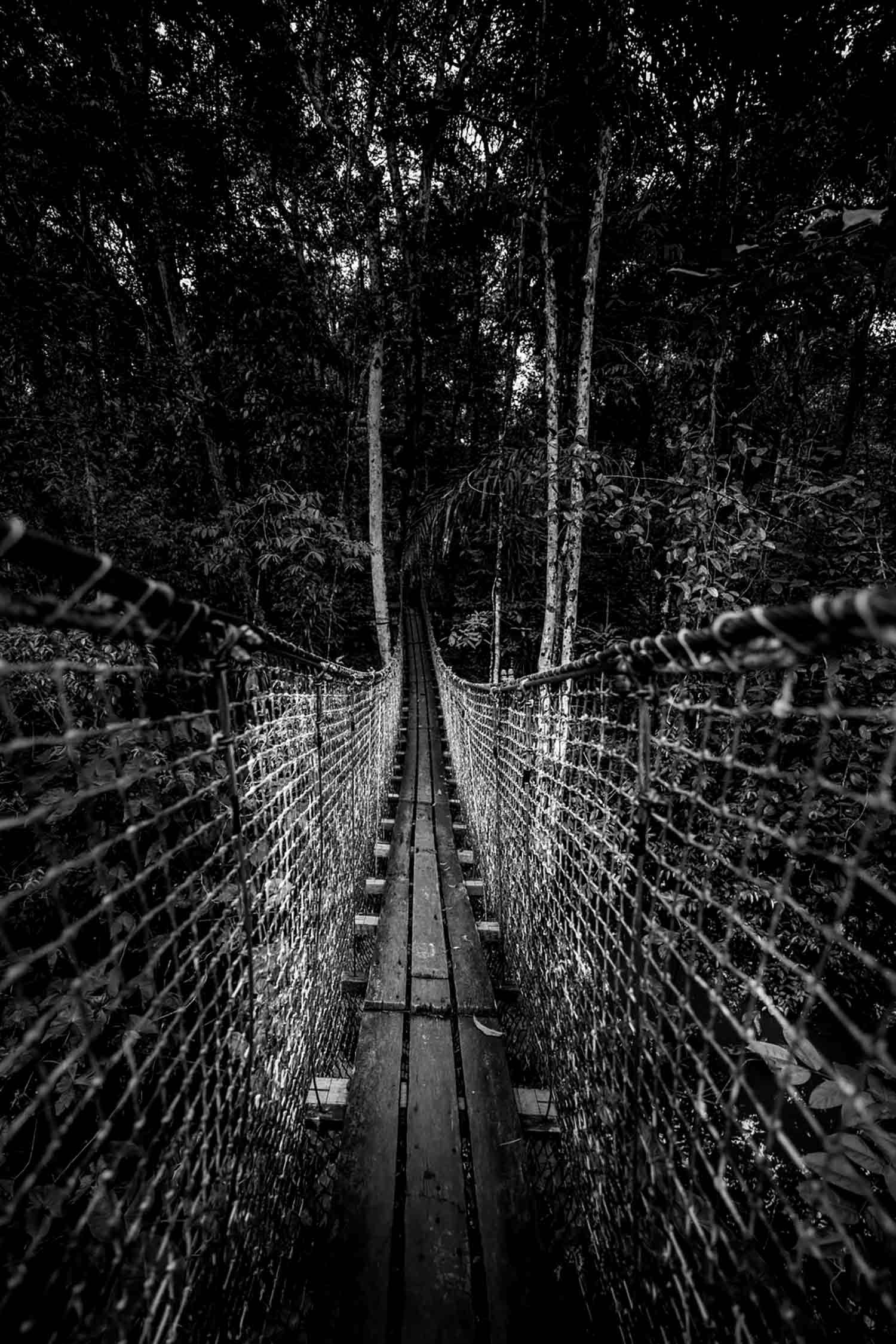 Jean-Guy Nakars, Pont suspendu, photo - Artalistic online contemporary art buying and selling gallery