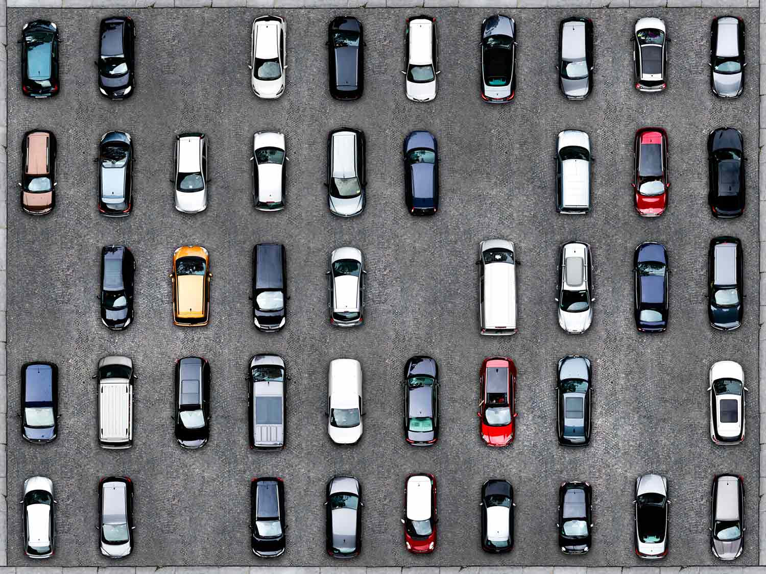 Werner Roelandt, Enclosed cars, photo - Artalistic online contemporary art buying and selling gallery