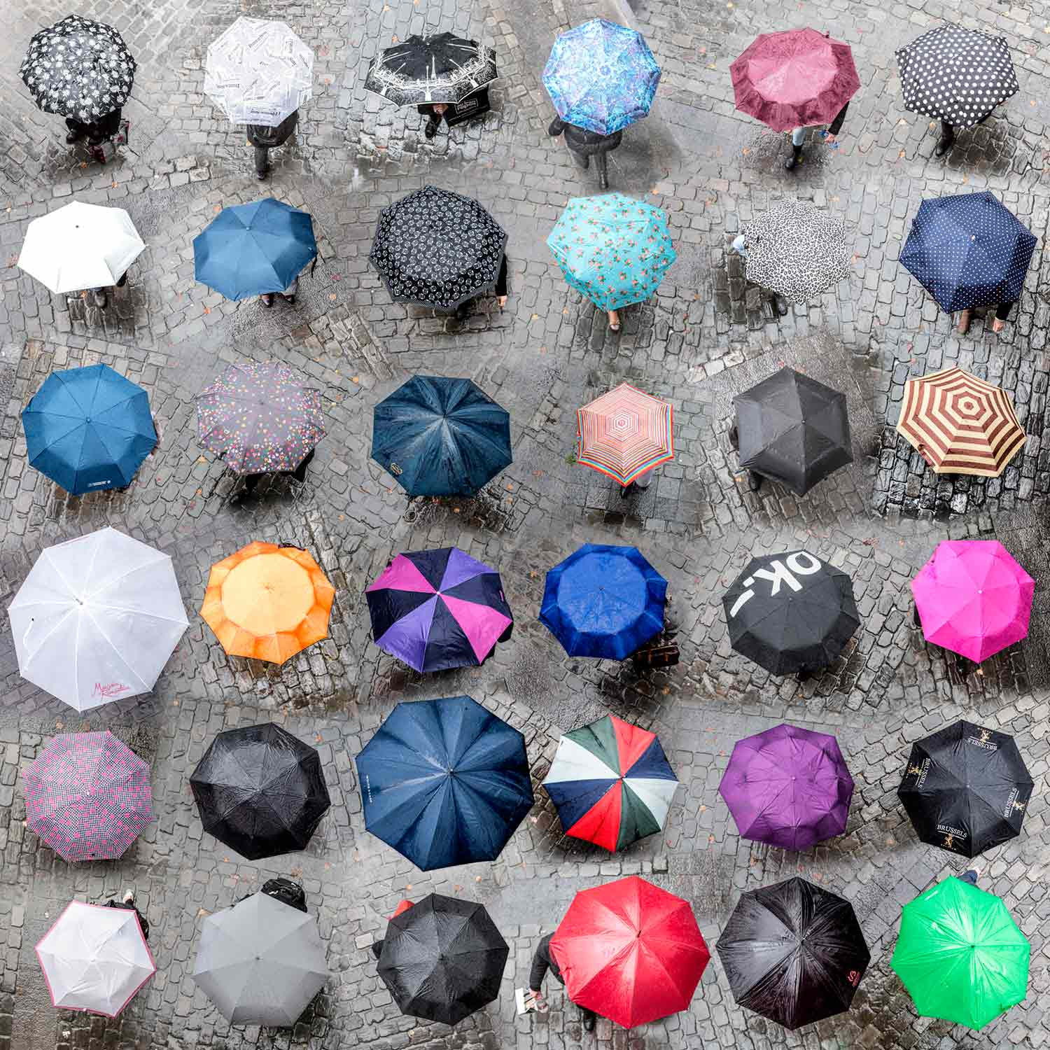 Werner Roelandt, umbrellas, photo - Artalistic online contemporary art buying and selling gallery