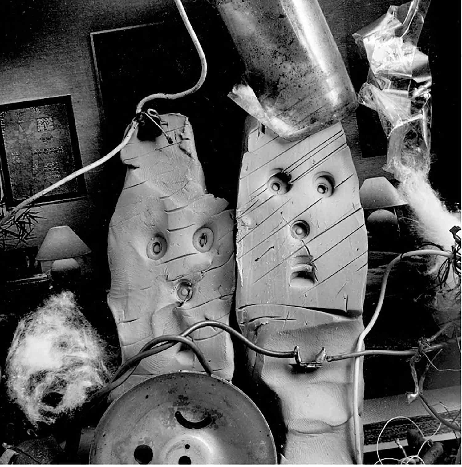 Tom Drahos, metamorphoses, photo - Artalistic online contemporary art buying and selling gallery