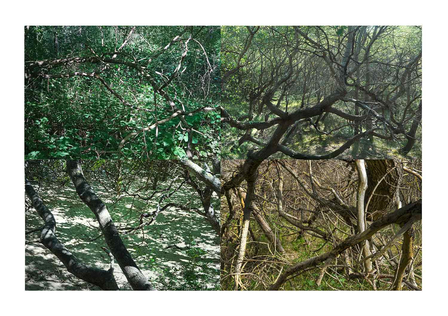 Nicolas Lespagnol, Paysages soudés, photo - Artalistic online contemporary art buying and selling gallery