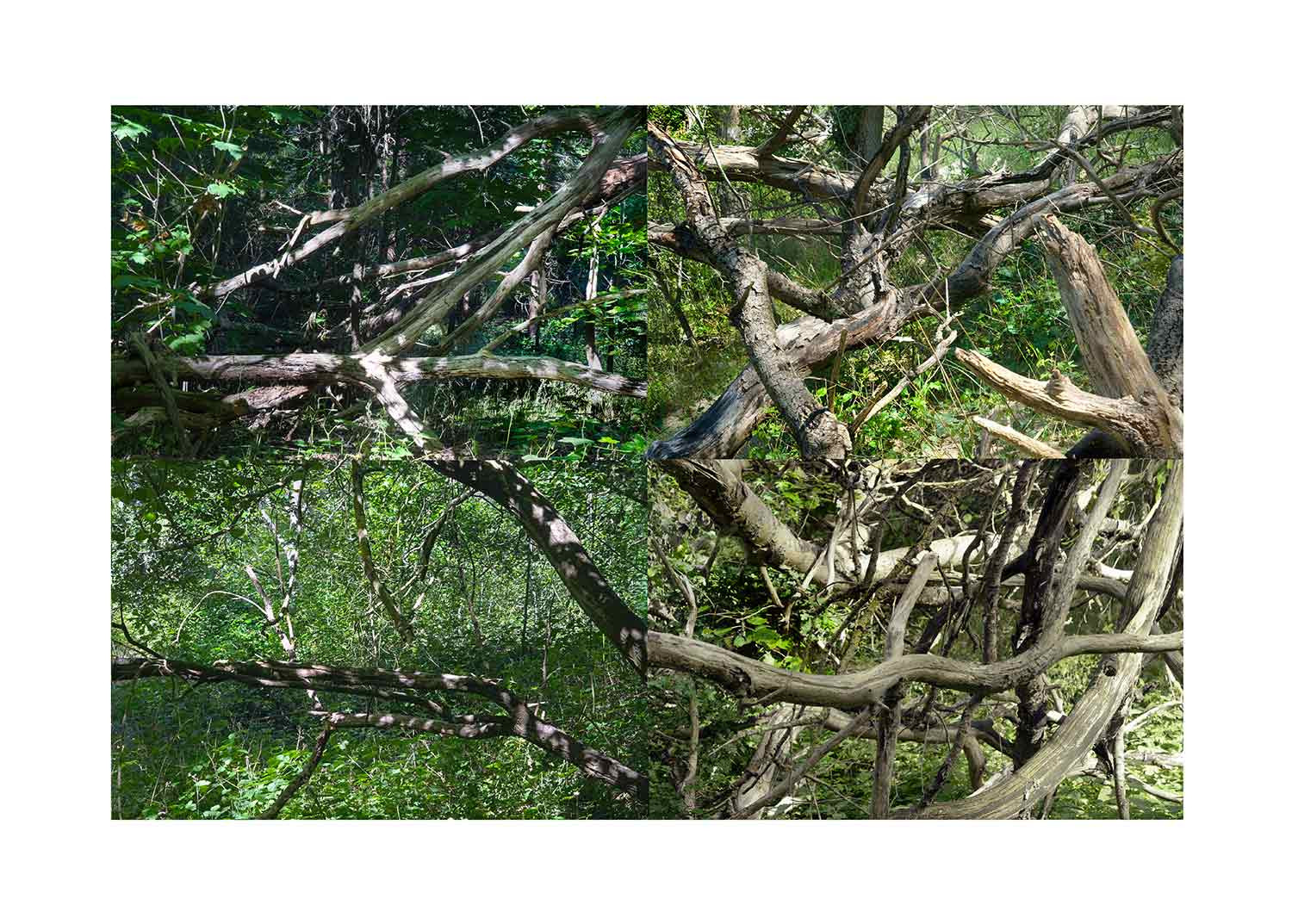 Nicolas Lespagnol, Paysages soudés, photo - Artalistic online contemporary art buying and selling gallery
