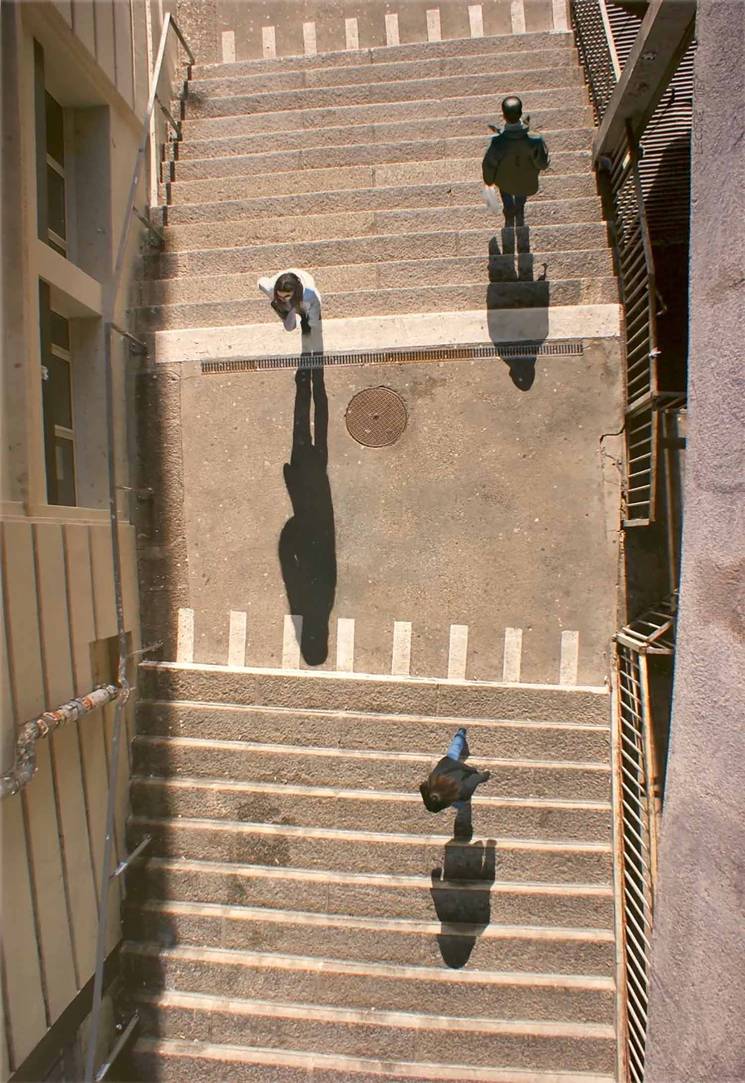 Sofia Leconte-Mitev, l'ascension, photo - Artalistic online contemporary art buying and selling gallery