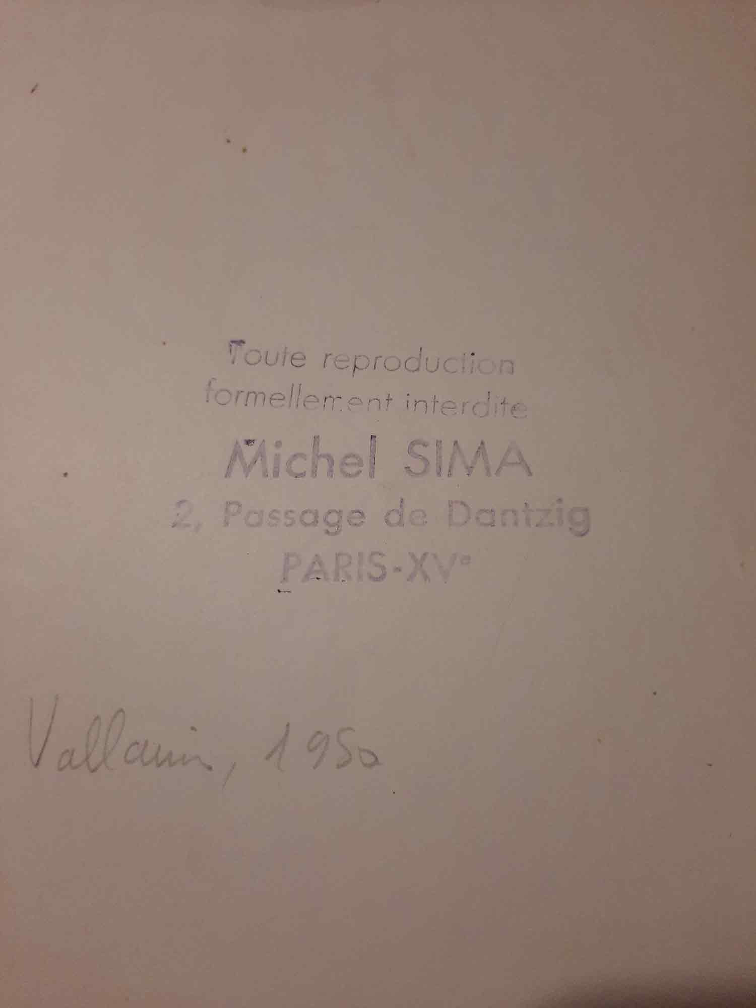 Michel Sima, portrait de Picasso, photo - Artalistic online contemporary art buying and selling gallery