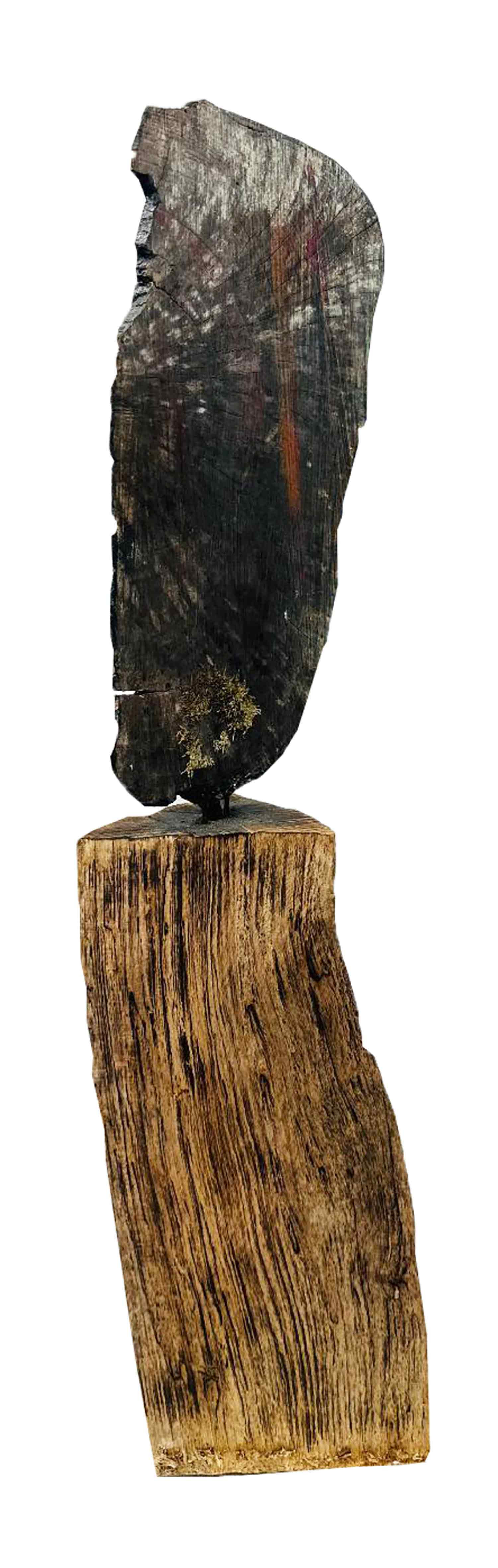 Jean-Claude Bonnifait, Daphné , Sculpture - Artalistic online contemporary art buying and selling gallery