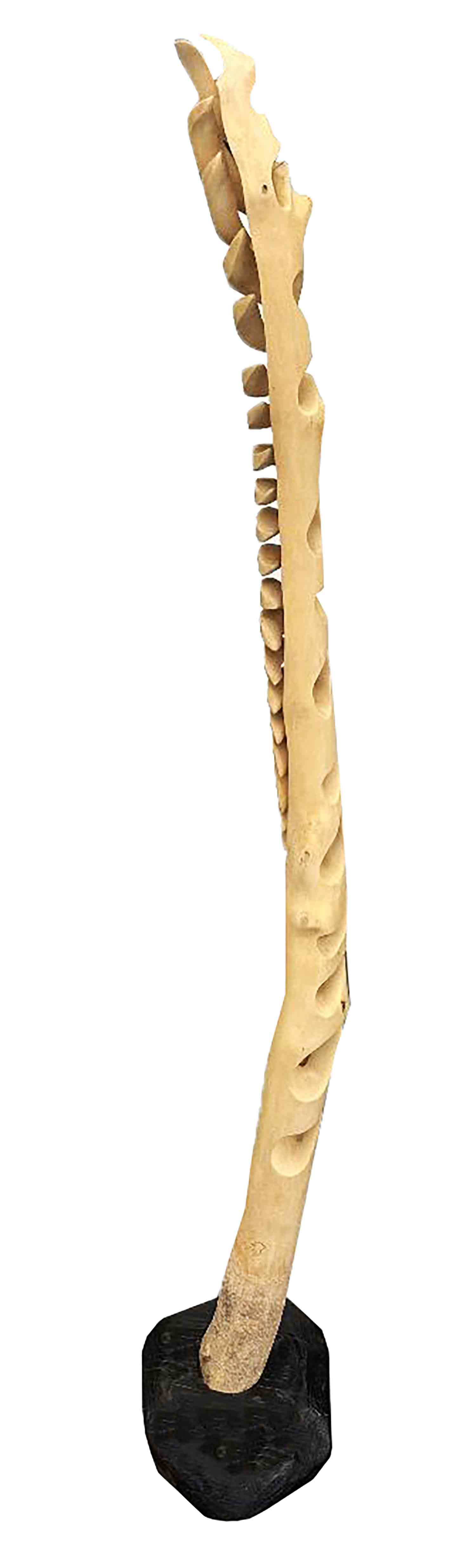 Guillaume Boisson, Scolopendre, Sculpture - Artalistic online contemporary art buying and selling gallery