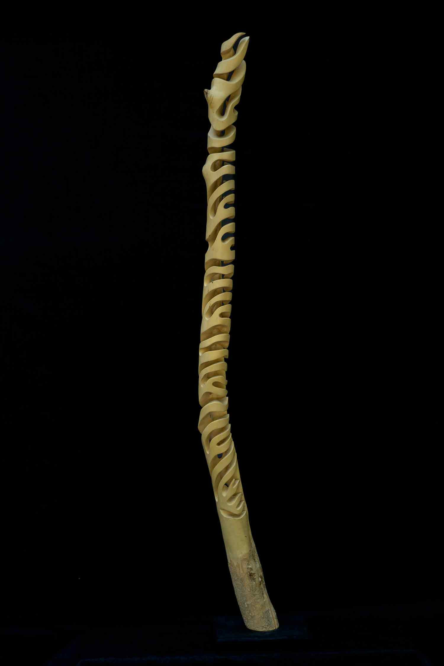 Guillaume Boisson, Scolopendre, Sculpture - Artalistic online contemporary art buying and selling gallery