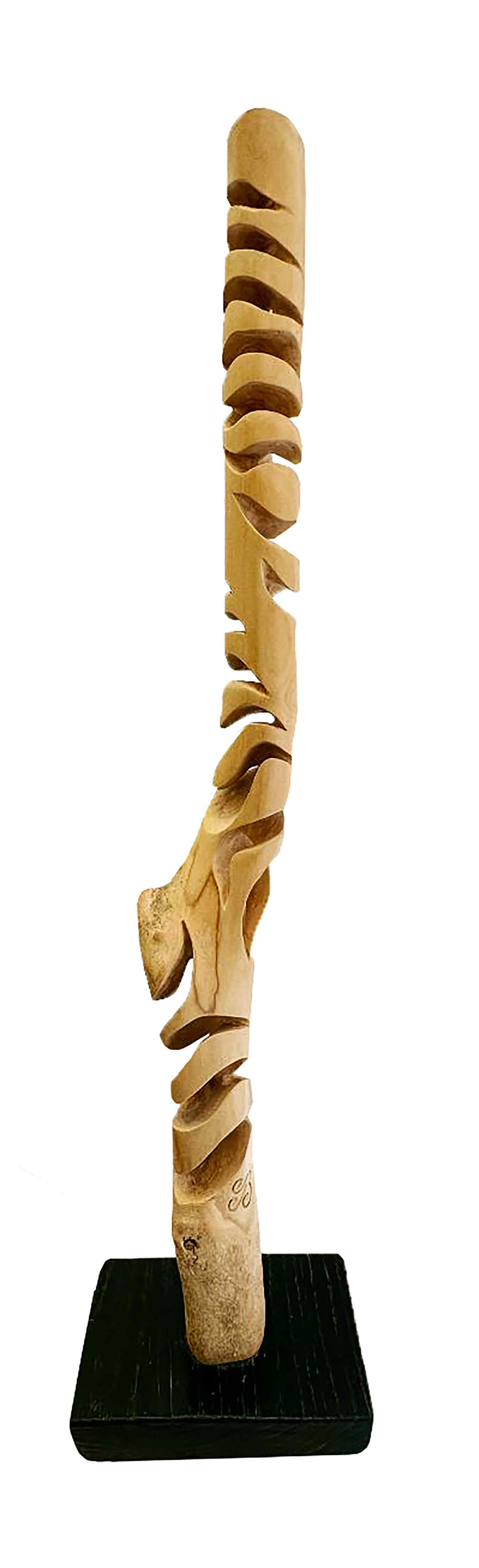 Guillaume Boisson, Spyrale du buis, Sculpture - Artalistic online contemporary art buying and selling gallery
