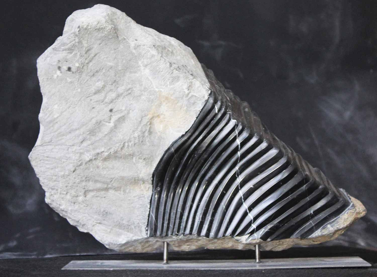 Catherine Arnaud, Vibrations, sculpture - Artalistic online contemporary art buying and selling gallery
