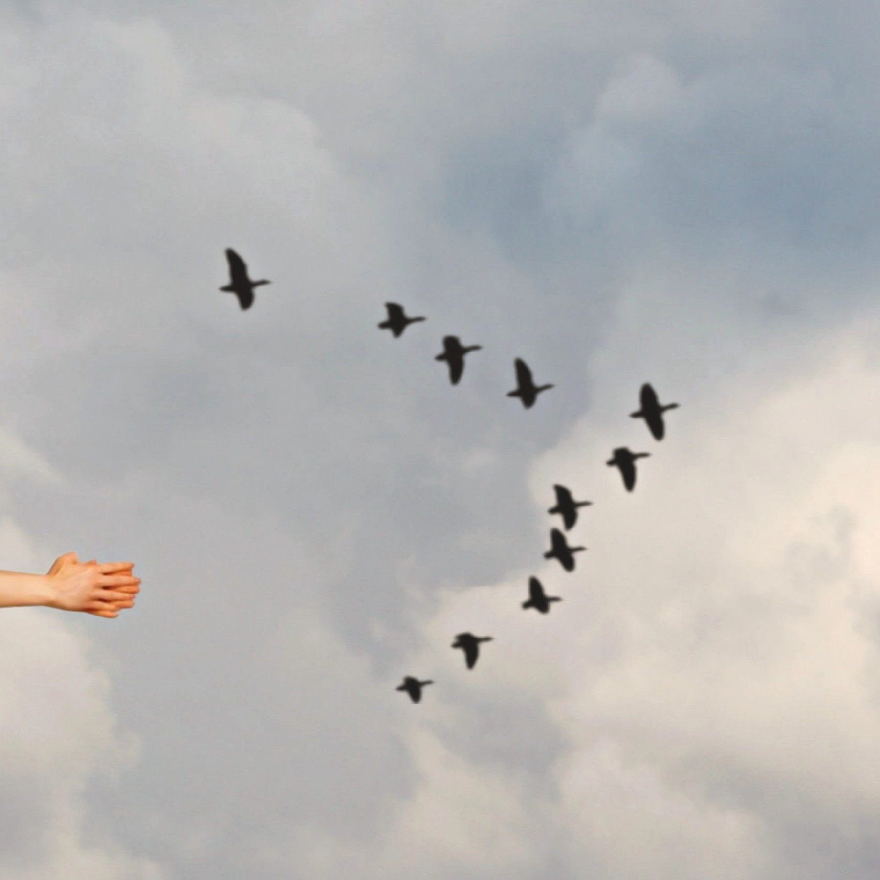 Mr Strange, The flight, edition - Artalistic online contemporary art buying and selling gallery