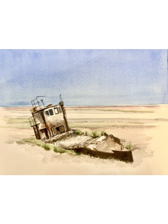 Désert, mer d'Aral