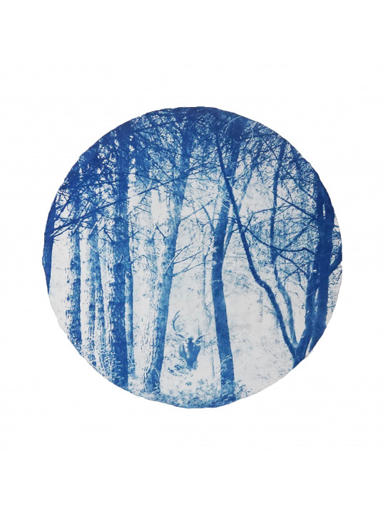 Le bois au cerf
