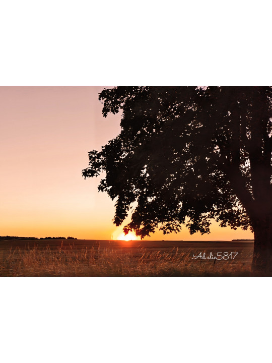Coucher de soleil - Commeny (95)