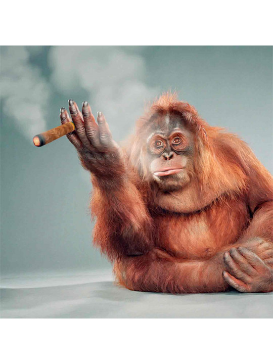 Miss greenberg Smoke a Cigar