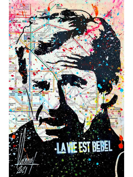 LA VIE EST BEBEL