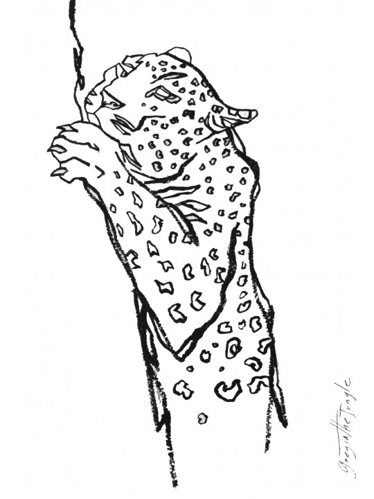 Sans titre 1