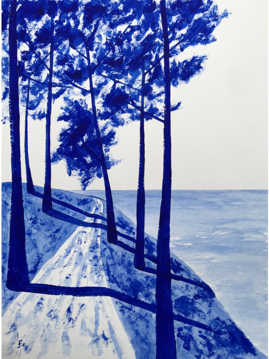 Le sentier côtier