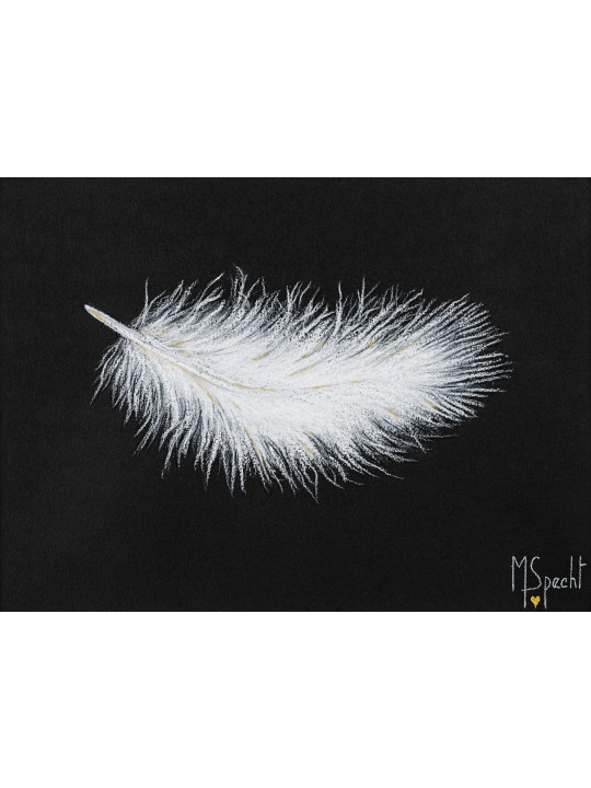 LA PLUME DE LAUVIAH