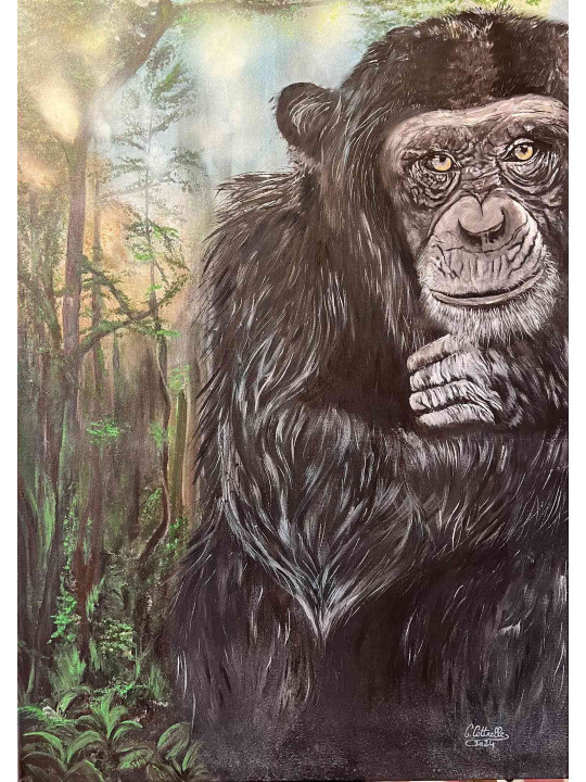 Chimpanzé pensif