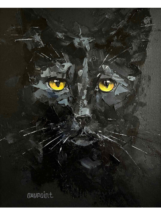 Black cat on black