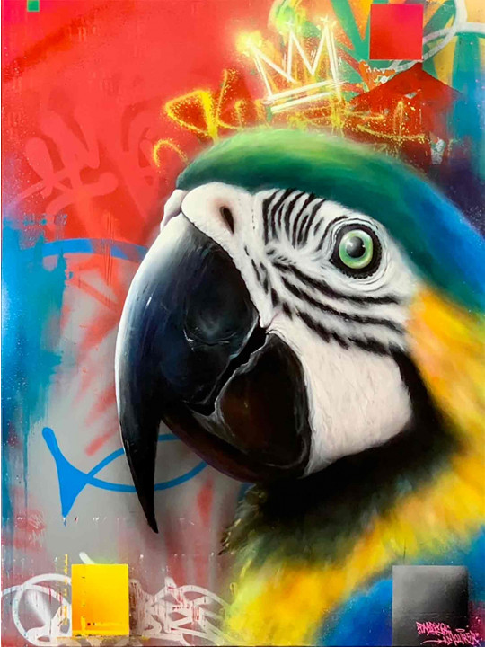 Colores de Colombia
