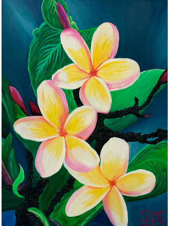 Fleurs de frangipanier